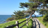 Coastside trail in San Mateo County